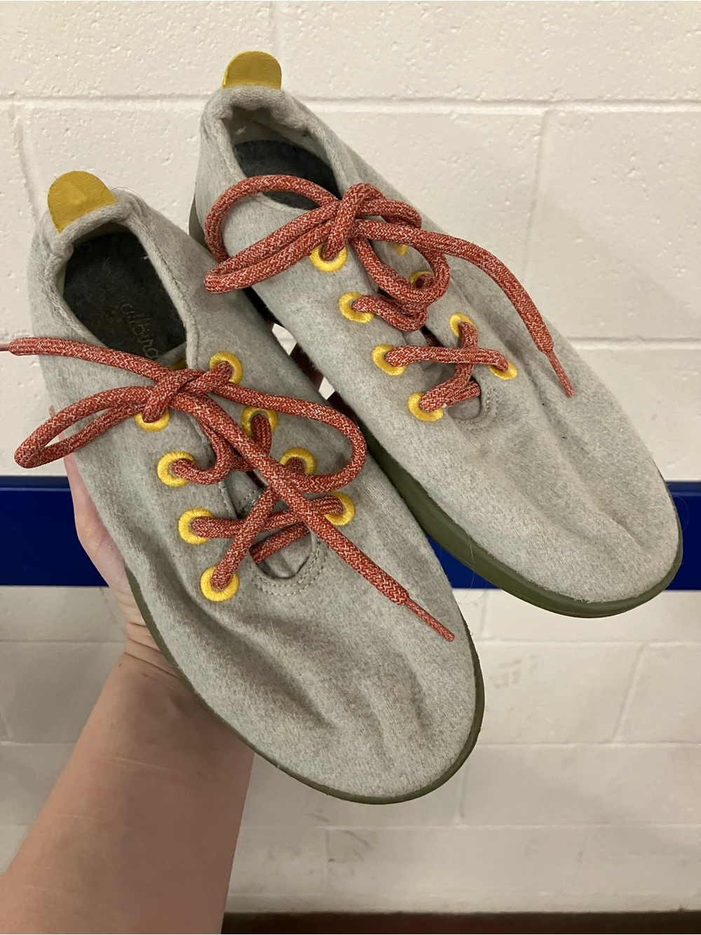 Allbirds Wool Sneakers